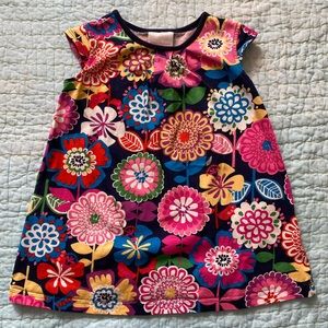 Hanna Andersson Cap sleeved Tunic Top